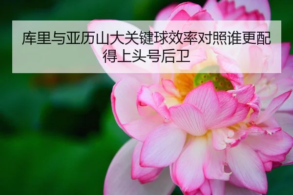 库里与亚历山大关键球效率对照谁更配得上头号后卫