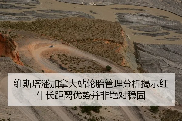 维斯塔潘加拿大站轮胎管理分析揭示红牛长距离优势并非绝对稳固