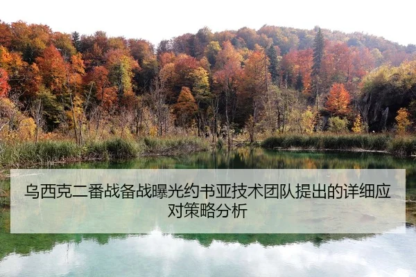 wu-xi-ke-er-fan-zhan-bei-zhan-bao-guang-yue-shu-ya-ji-shu-tuan-dui-ti-chu-de-xiang-xi-ying-dui-ce-lve-fen-xi-2-804.jpg
