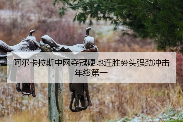 a-er-ka-la-si-zhong-wang-duo-guan-ying-di-lian-sheng-shi-tou-qiang-jing-chong-ji-nian-zhong-di-yi-2-155.jpg