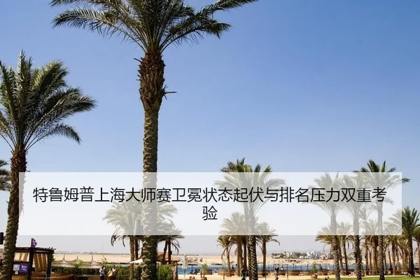 te-lu-mu-pu-shang-hai-da-shi-sai-wei-mian-zhuang-tai-qi-fu-yu-pai-ming-ya-li-shuang-chong-kao-yan-2-211.jpg