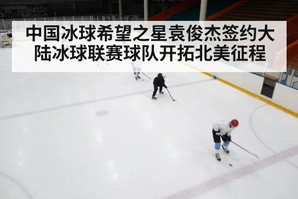 ice hockey rink